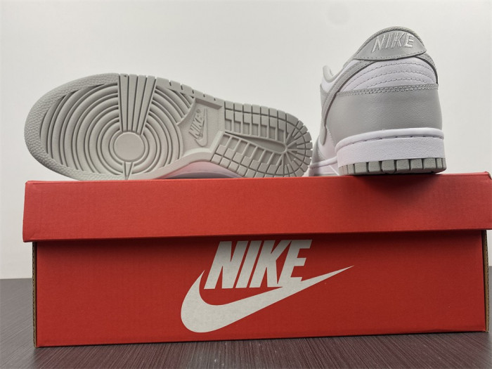 nike dunk low grey fog-dd1391-103