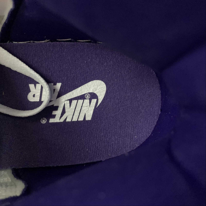 air jordan 1 wmns “court purple” cd0461-151