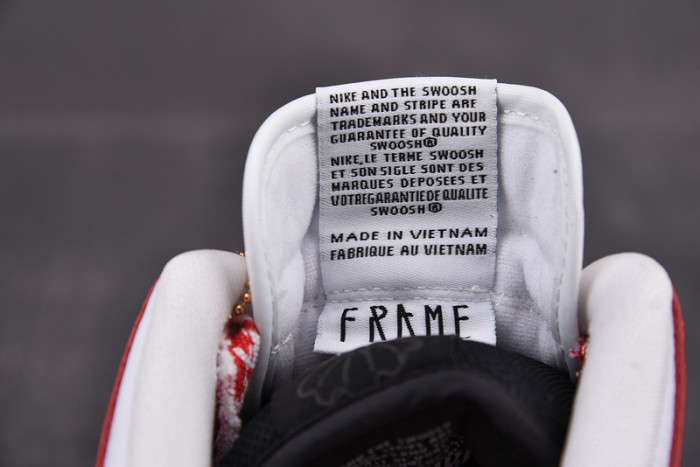 frame skate nike sb dunk low ct2550-600