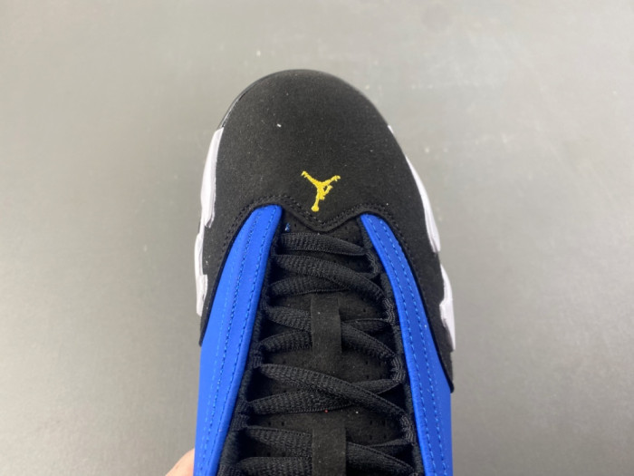 Jordan 14 Retro Laney-7855-699