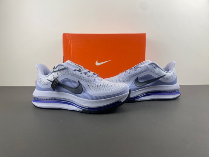 Nike Pegasus Premium 