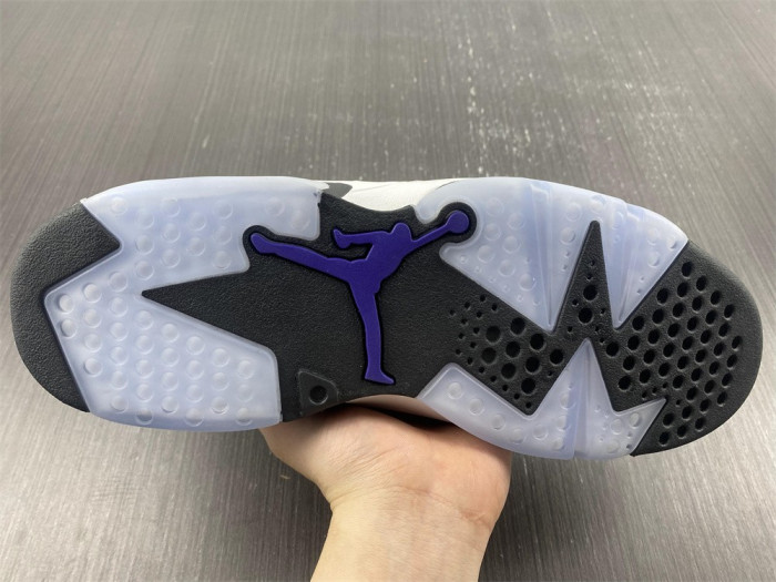 jordan 6 retro flight nostalgia-ci3125-100