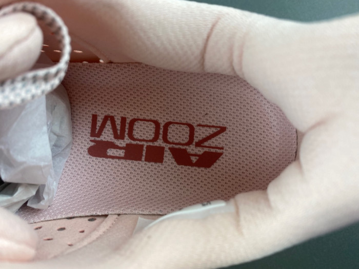 Nike Pegasus Premium-HQ2593-601