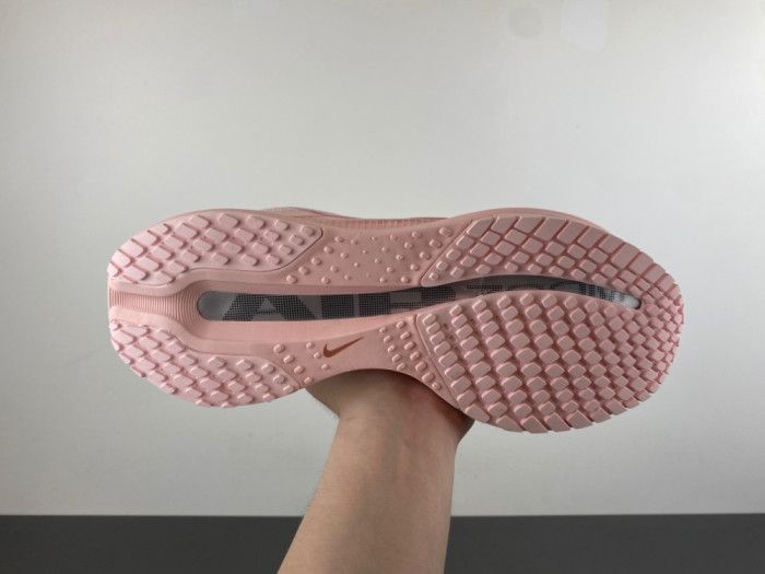 Nike Pegasus Premium-HQ2593-601