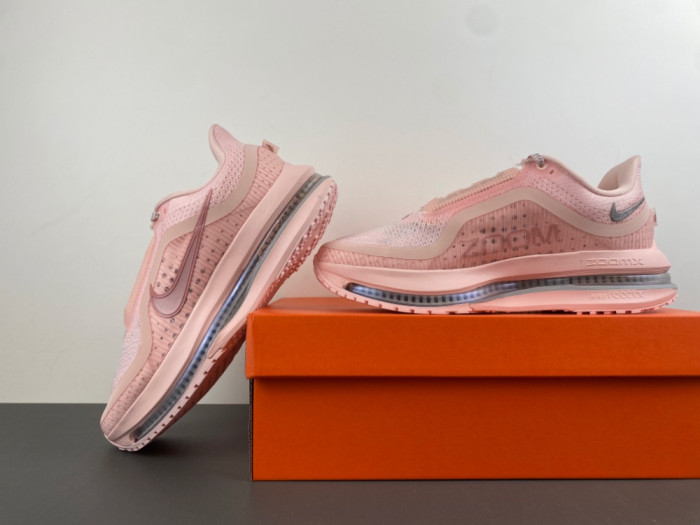 Nike Pegasus Premium-HQ2593-601