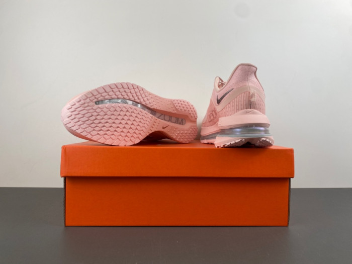 Nike Pegasus Premium-HQ2593-601