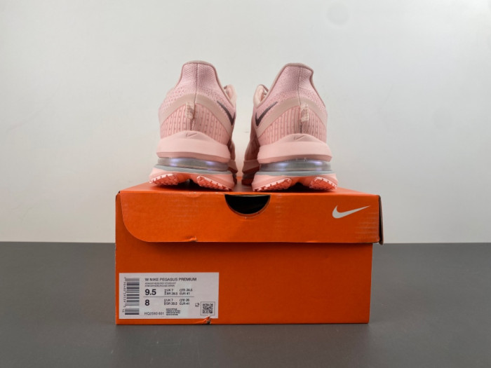 Nike Pegasus Premium-HQ2593-601