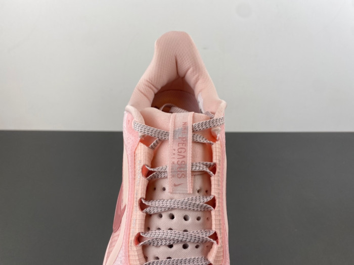 Nike Pegasus Premium-HQ2593-601