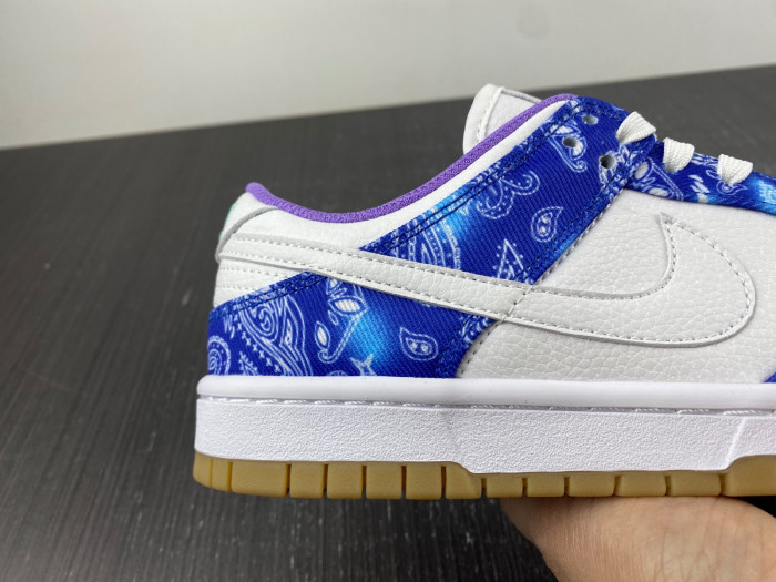 nike sb dunk low retro sp-ct5053-041