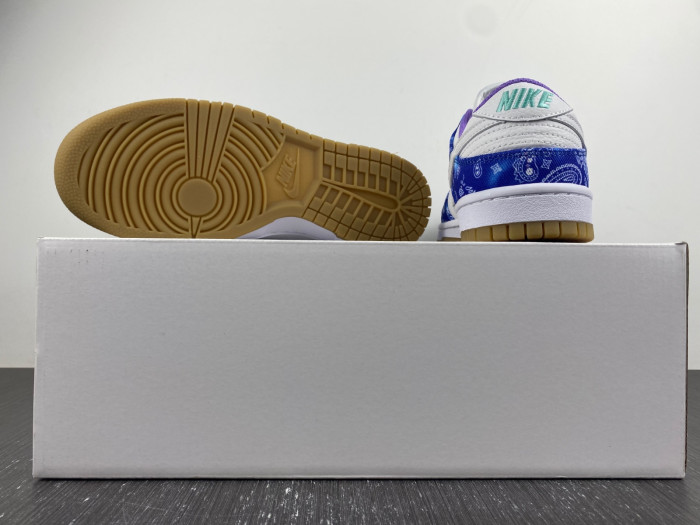 nike sb dunk low retro sp-ct5053-041