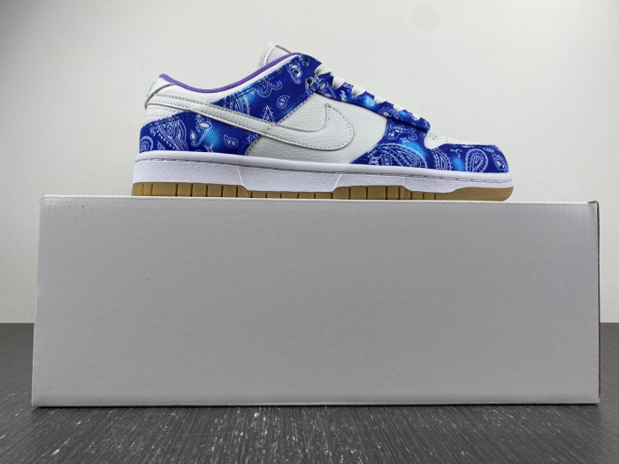 nike sb dunk low retro sp-ct5053-041