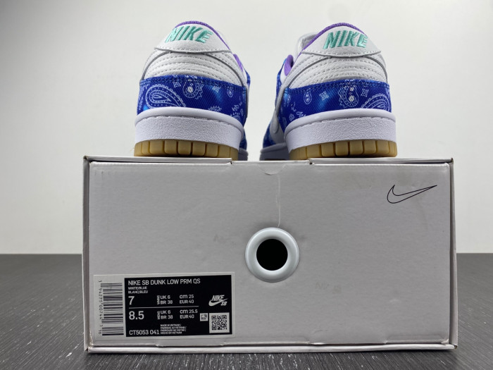 nike sb dunk low retro sp-ct5053-041