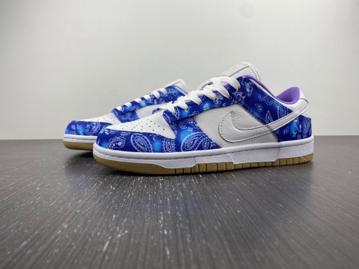 nike sb dunk low retro sp-ct5053-041