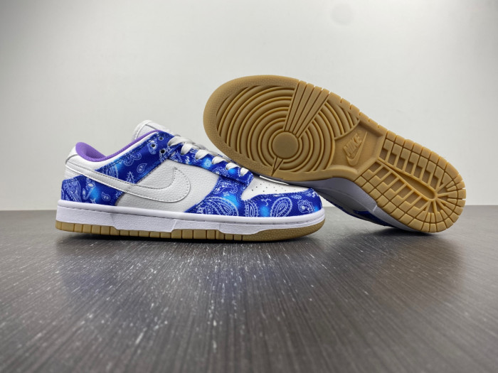 nike sb dunk low retro sp-ct5053-041