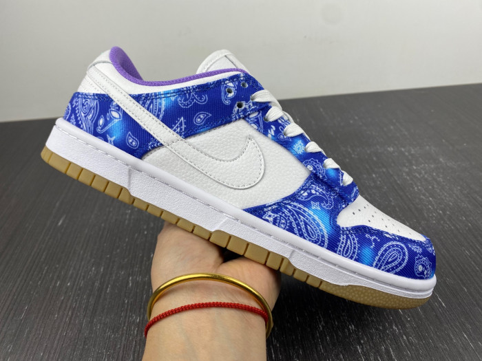 nike sb dunk low retro sp-ct5053-041
