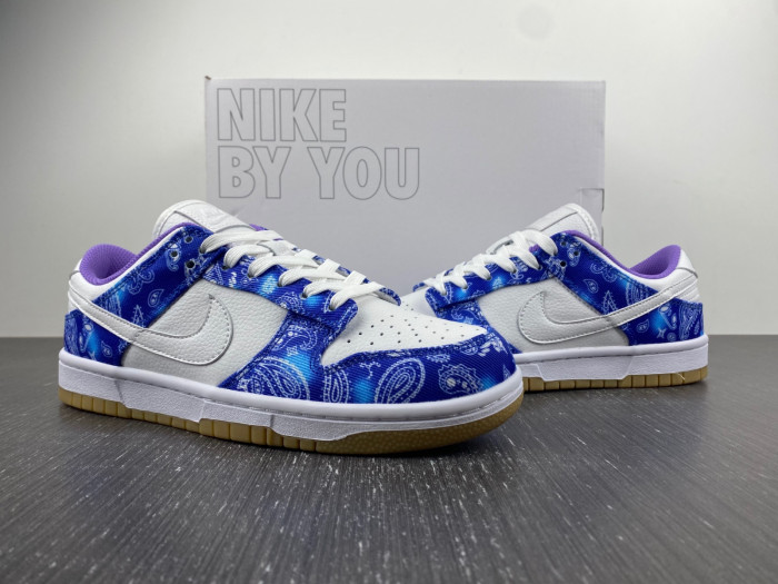 nike sb dunk low retro sp-ct5053-041