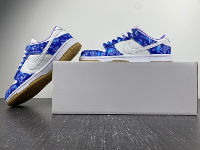 nike sb dunk low retro sp-ct5053-041