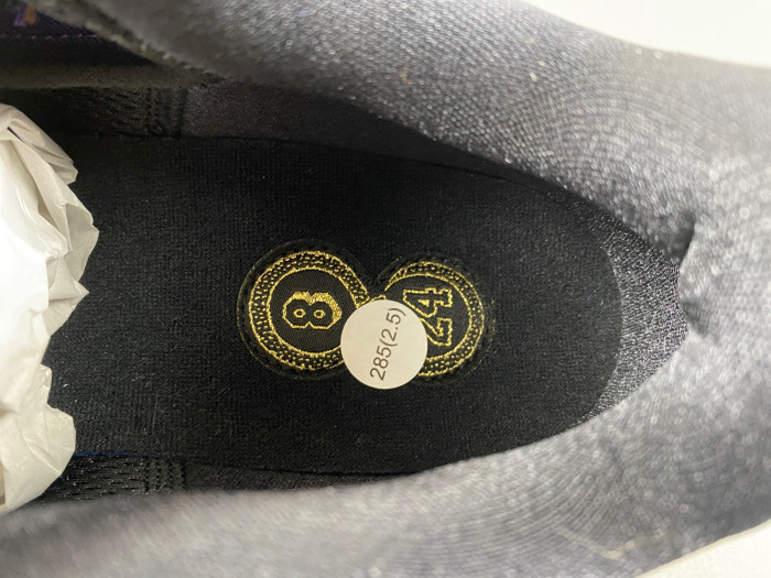 Nike Kobe 5 Protro “Year of the Mamba”-IB4481-500