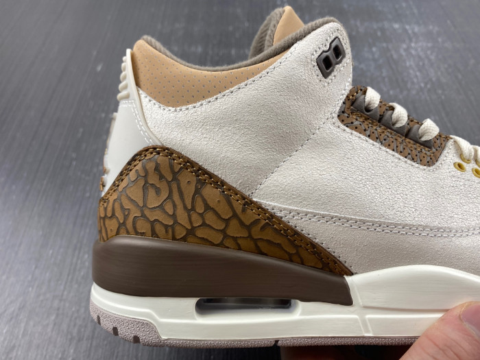 air jordan 3 palomino-ct8532-102