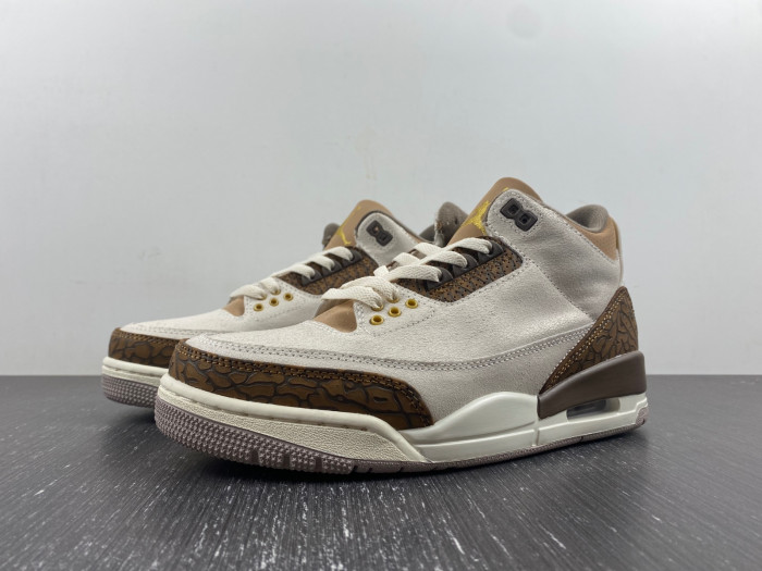 air jordan 3 palomino-ct8532-102