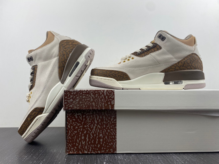 air jordan 3 palomino-ct8532-102