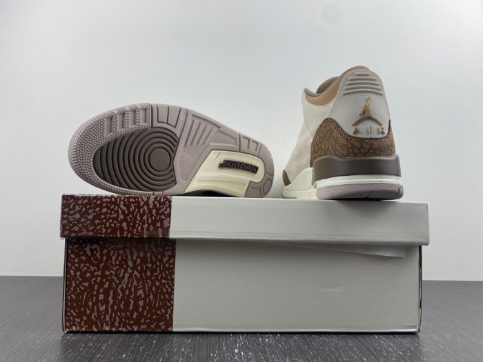 air jordan 3 palomino-ct8532-102