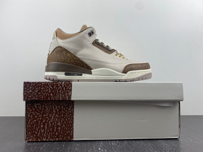 air jordan 3 palomino-ct8532-102