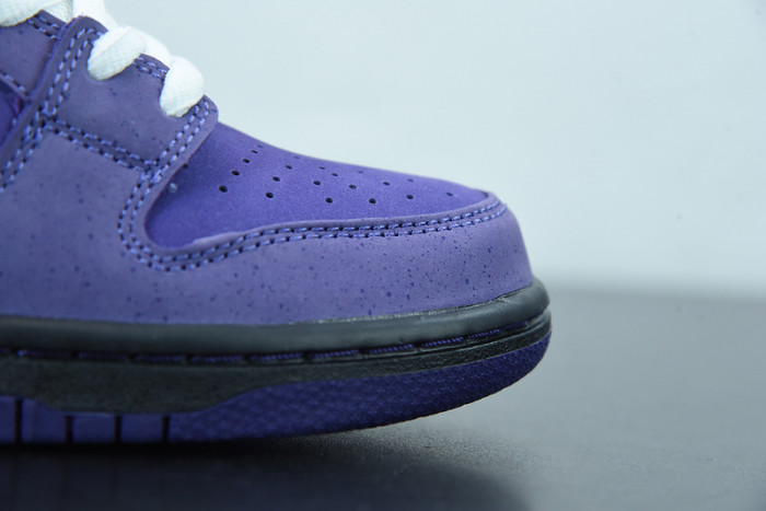 nike sb dunk low concepts purple lobster-bv1310-555