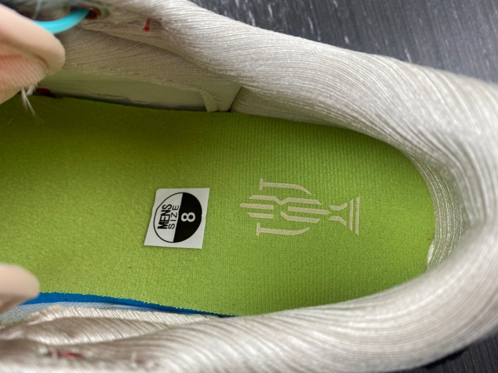 jordan 1 retro low og trophy room home-fn0432-017