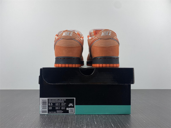 nike sb dunk low concepts orange lobster-fd8776-800