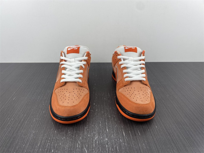 nike sb dunk low concepts orange lobster-fd8776-800
