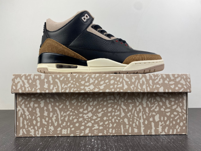 jordan 3 retro desert elephant-ct8532-008
