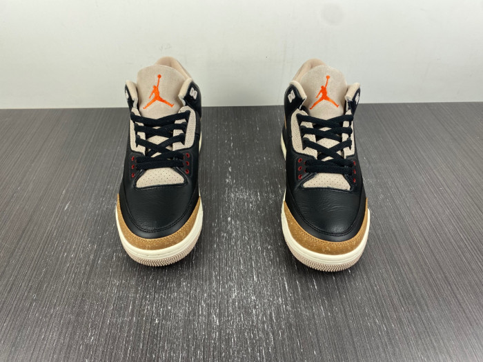 jordan 3 retro desert elephant-ct8532-008