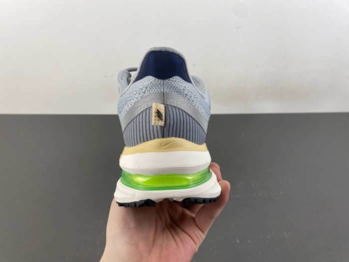 Nike Pegasus Premium-IR1815-012