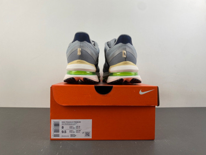 Nike Pegasus Premium-IR1815-012