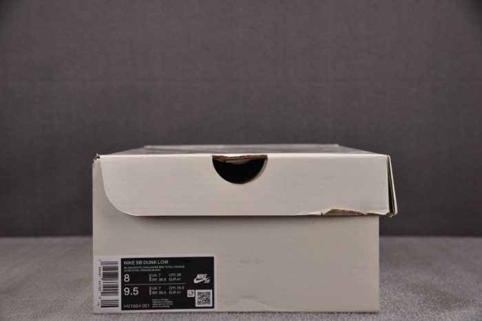 NK SB Dunk Low Bronx Girls Skate-HV1664-001