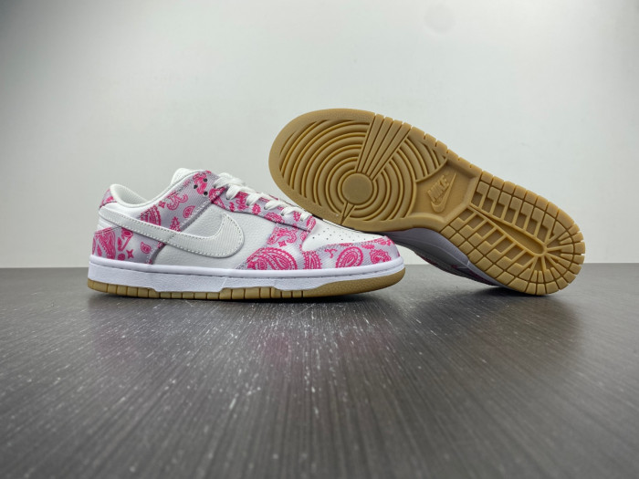 nike sb dunk low retro sp-ct5053-061