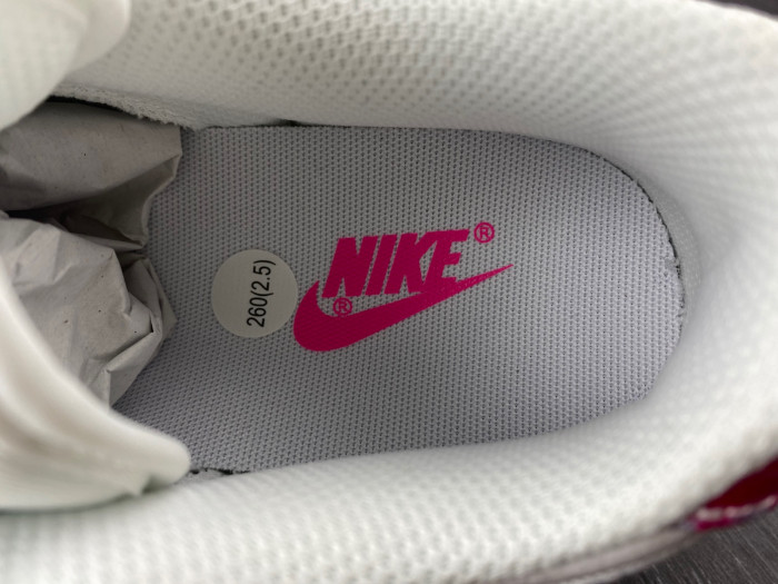 nike sb dunk low retro sp-ct5053-061