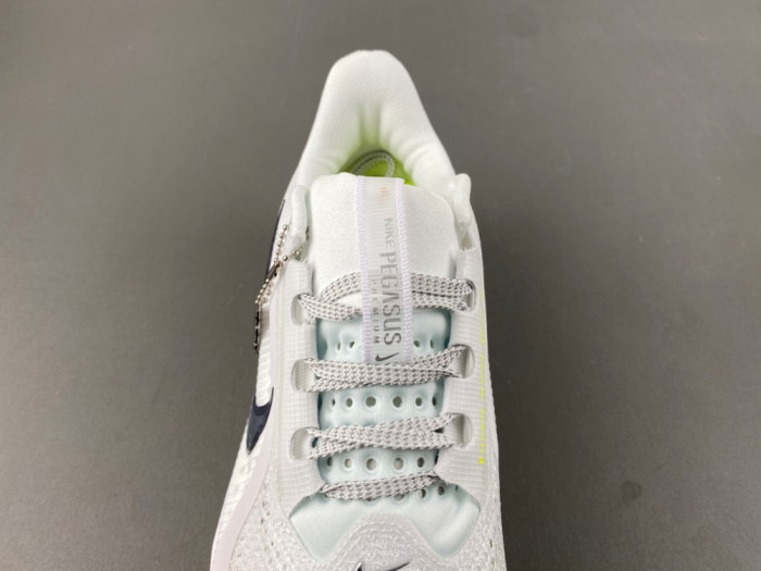 Nike Pegasus Premium-HQ2592-100