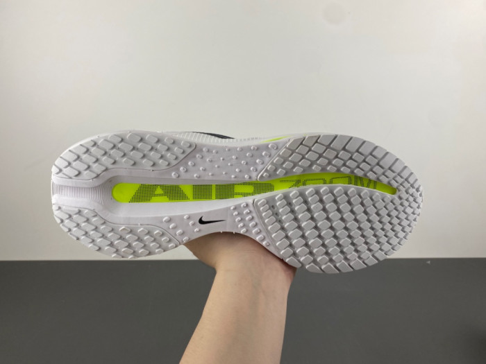 Nike Pegasus Premium-HQ2592-100