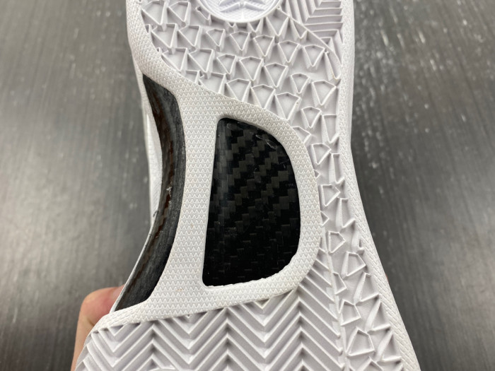 nike kobe 8 protro -fv6325-100