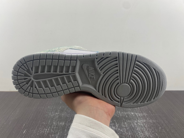 nike sb dunk low -dv0831-101