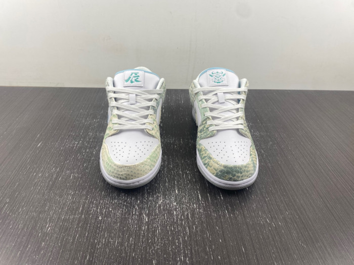 nike sb dunk low -dv0831-101